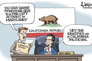 feinstein