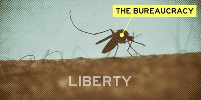 2023 10 4 bureaucracy mosquito