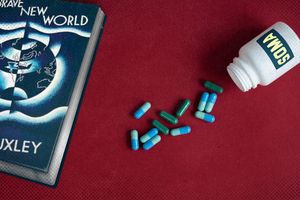 2022 11 8 brave new world soma