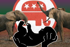 GOP