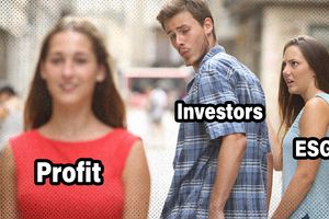2023 11 22 ESG investors
