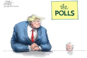 polls