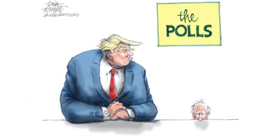polls