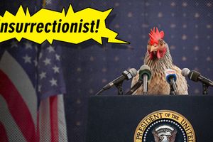 2023 12 21 chicken insurrectionist