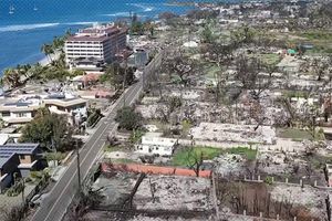 2024 1 24 lahaina