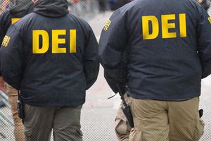 2024 1 30 fbi dei2