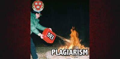 harvard