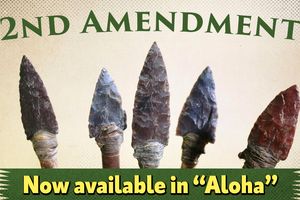 2024 2 12 aloha 2nd amendment