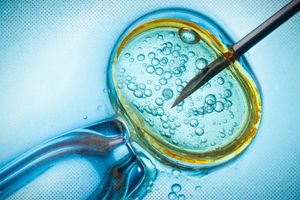 2024 2 29 IVF