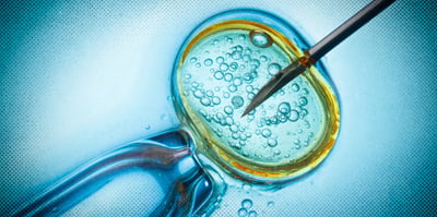 2024 2 29 IVF