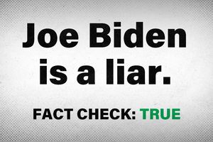 2024 3 11 biden liar factcheck true