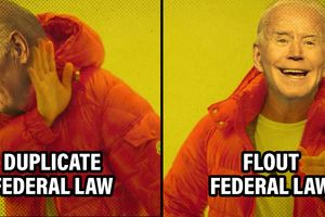 2024 3 20 duplicate federal law