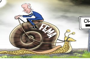 varvel