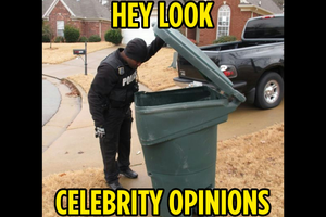 opinion