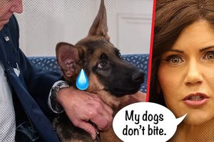 2024 4 30 kristi noem dog kill bite