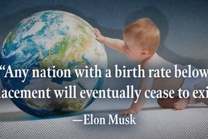2024 5 1 elon quote birth rate