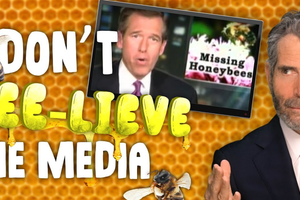stossel