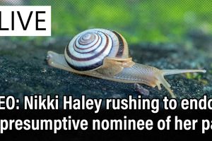 2024 5 24 Haley endorsement