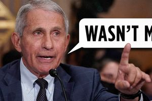2024 6 4 fauci testify wasnt me