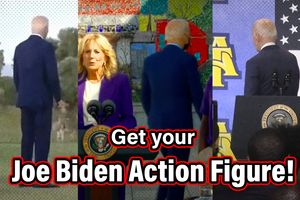 2024 6 18 wandering joe biden action figure