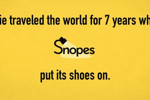 2024 6 24 lie world snopes 7 years