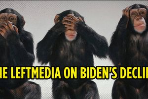 2024 7 8 leftmedia biden decline hear see speak no evil