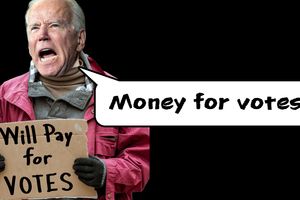 2024 7 22 biden qubuy votes