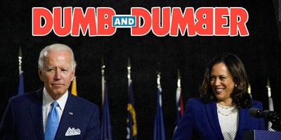 2024 7 23 dumb dumber biden harris