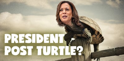2024 7 30 Kamala post turtle