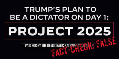 2024 8 1 project 2025 2