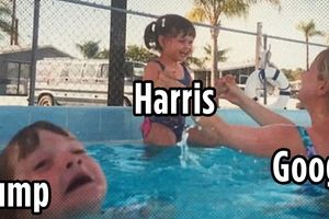 2024 8 5 google trump harris search results
