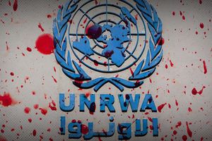2024 8 9 UNRWA