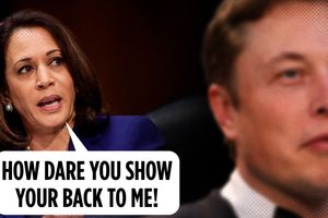 2024 8 13 kamala harris elon musk