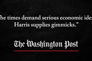 2024 8 19 wapo gimmicks economic ideas
