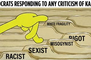2024 8 21 democrat respond kamala criticism
