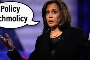 2024 8 26 harris policy