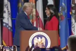 gabbard