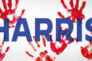 2024 8 28 Harris blood
