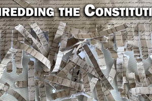 constitution