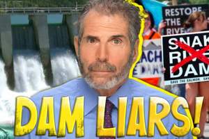 stossel