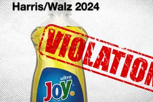 2024 10 2 Harris Walz Joy violation