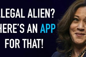 2024 10 8 app illegal kamala