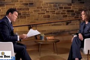 2024 10 17 babylon bee harris fox interview