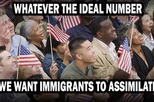 assimilate