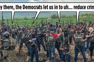 2024 11 4 crime immigration lie