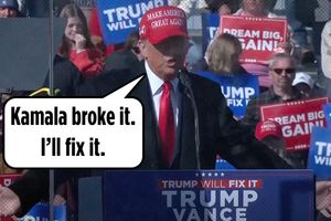 2024 11 4 trump kamala broke it