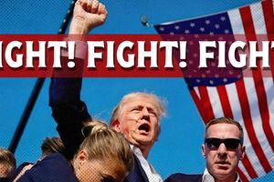 2024 11 6 trump fight