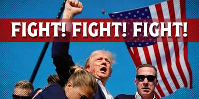 2024 11 6 trump fight