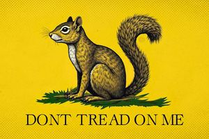 2024 11 7 dont tread on peanutr