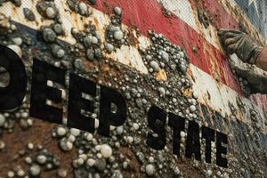 2024 11 13 cleaning deep state barnacles